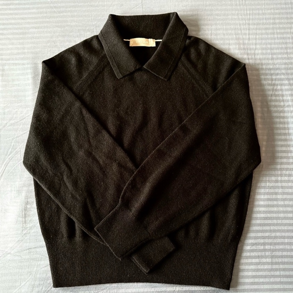 Everlane Cashmere Collared Sweater